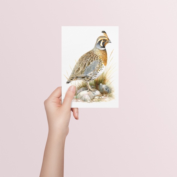 Watercolor Quail Wall Art Print, Unframed - Vibrant Nature-Inspired Home Decor - Picture 5 of 6